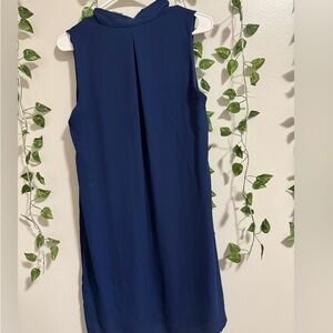 Sleeveless Blue Dress